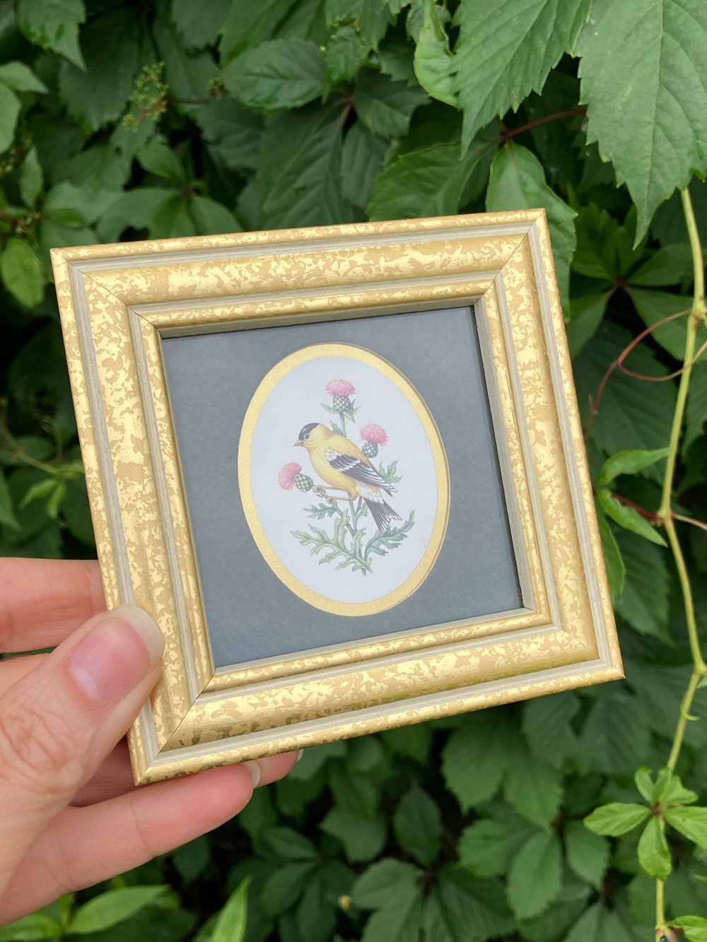 Vintage 1990s Feathered Friends Mini Gold Ornate Picture Frame w/ Goldfinch